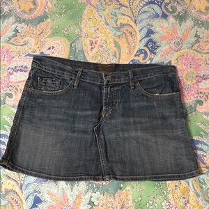 James Jeans Blue Mini Skirt Casual